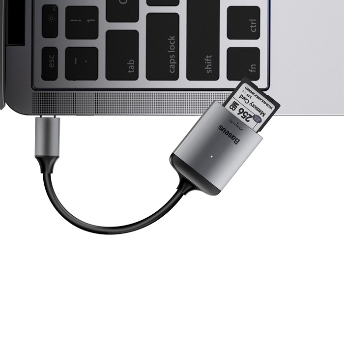 اتصال هاب بیسوس USB-C به کارت حافظه SD/TF مدل Enjoyment Series CAHUB-P0G